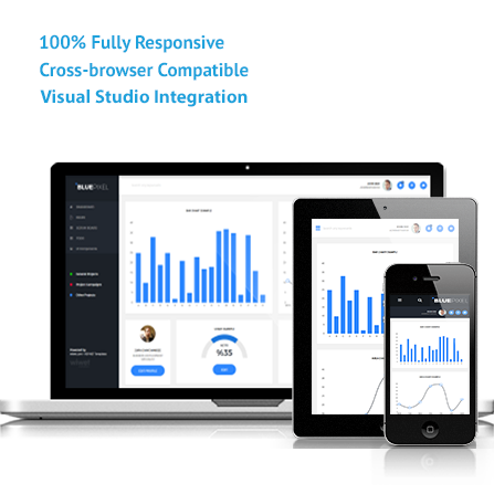 BluePixel ASP.NET, MVC Responsive Template